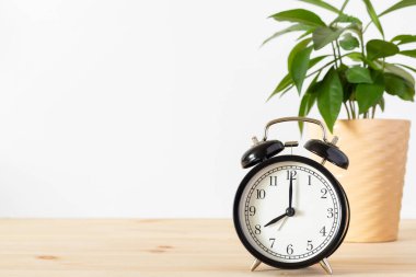 Klasik klasik siyah alarm saati ve beyaz duvar arkaplanı olan ahşap masa üzerine saksı yeşili bitki ve metin için yer kopyalama. Zaman kavramı.