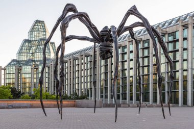 Ottawa, Kanada 23 Mayıs 2021: Kanada 'nın başkenti Ottawa' da bulunan Kanada Ulusal Galerisi önünde anne örümcek heykeli