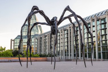 Ottawa, Kanada 23 Mayıs 2021: Kanada 'nın başkenti Ottawa' da bulunan Kanada Ulusal Galerisi önünde anne örümcek heykeli