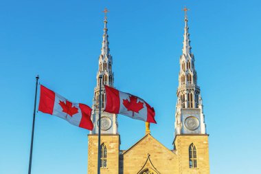 Kanada 'nın Ottawa kentindeki Notre-Dame Katedrali' nin önündeki Kanada bayrakları mavi gökyüzüne karşı güneşli bir günde