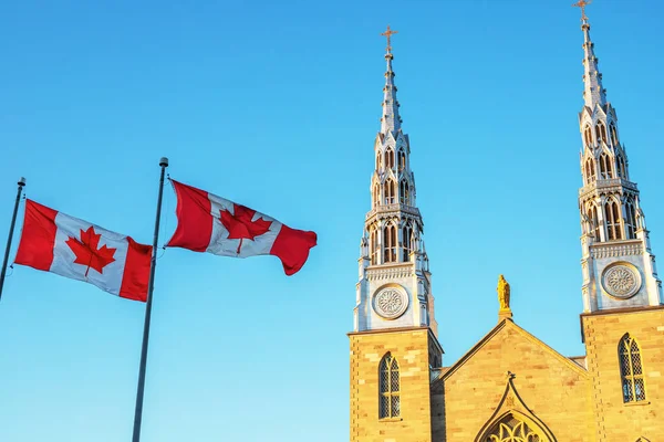 Canadese Vlaggen Voor Notre Dame Kathedraal Basiliek Ottawa Canada Een — Stockfoto