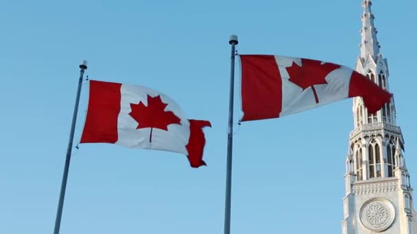 加拿大渥太华圣母院大教堂门前的加拿大国旗 阳光灿烂 蓝天映衬下 — 图库视频影像