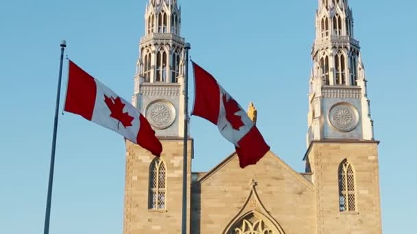 Kanadische Flaggen Vor Der Kathedrale Notre Dame Ottawa Kanada Einem — Stockvideo