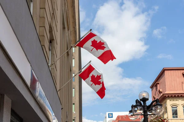 Ottawa Canada Juli 2021 Stadsgezicht Met Canadese Vlaggen Gebouwen Binnenstad — Stockfoto