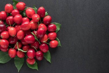 Siyah arka planda küçük kırmızı elmalar ve metin için kopyalama alanı. Sonbahar konsepti. Yat yere.