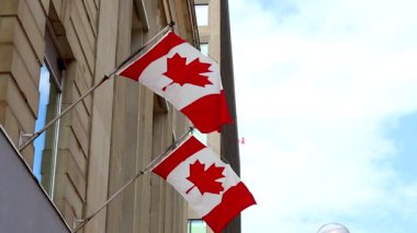 Kanada 'nın Ottawa şehrinin merkezindeki binaya bağlı Kanada bayrakları rüzgarda dalgalanıyor..