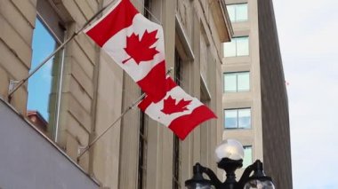 Kanada 'nın Ottawa şehrinin merkezindeki binaya bağlı Kanada bayrakları rüzgarda dalgalanıyor..