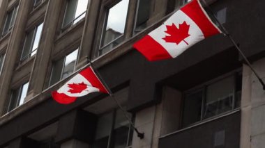 Kanada 'nın Ottawa şehrinin merkezindeki binaya bağlı Kanada bayrakları rüzgarda dalgalanıyor..