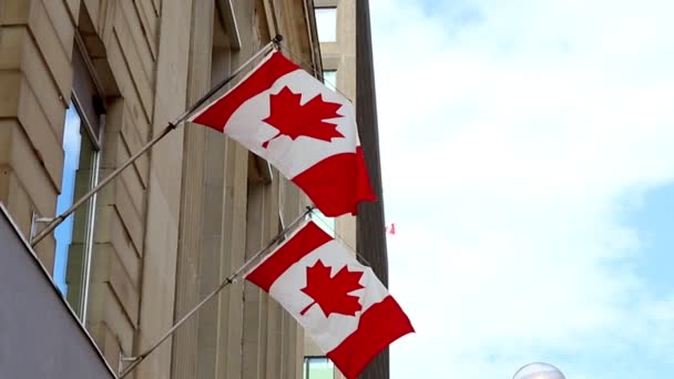 Kanadische Fahnen Wehen Wind Einem Gebäude Der Innenstadt Von Ottawa — Stockvideo