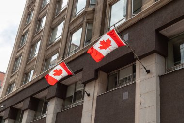 Kanada 'nın Ottawa şehrinin merkezindeki binaya bağlı Kanada bayrakları rüzgarda dalgalanıyor..
