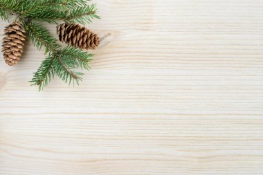 Christmas natural background with fir branches and cones, copy space for text