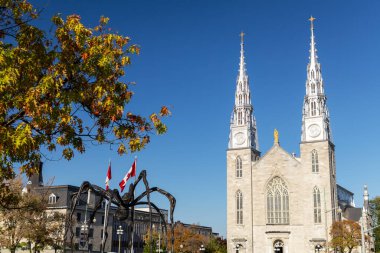 Ottawa, Kanada - 6 Ekim 2025: Maman örümcek heykeli ve Notre Dame Katedrali Bazilikası ile şehir manzarası
