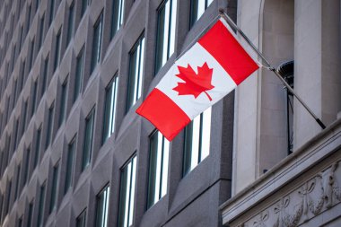 Kanada 'nın Ottawa kentsel mimarisinde Kanada ulusal bayrağı sergilendi