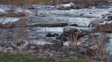 Bahar mevsiminde parkta akan suyla akarsu. İlkbaharda nehir