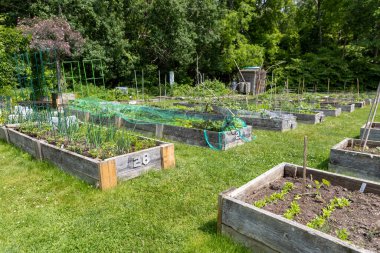 Halk parkındaki halk bahçesinde yükseltilmiş yataklar.
