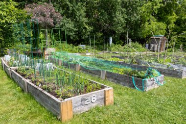 Baharda kamu parkında numaralandırılmış ahşap kutularla dolu bir halk bahçesi..
