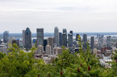 Montreal, Kanada - 5 Temmuz 2025: Montreal şehir merkezi gökdelenleri. Şehir merkezinde yazın yeşil yapraklar arasında.
