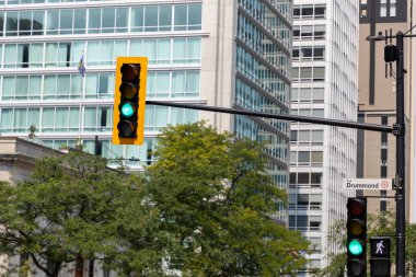 Şehir caddesinde yeşil trafik ışıkları. Montreal, Kanada 'daki binalara karşı şehir sinyali