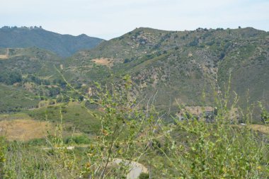 Yuvarlanan yeşil tepeler manzara boyunca uzanır dağınık çalılarla ve dolambaçlı yollarla süslenir berrak mavi gökyüzünün altında huzurlu bir geri çekilme doğanın keşfine ve eğlencesine davetiye çıkarır.