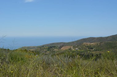 Parlak mavi bir gökyüzünün altında uzanan canlı yeşil tepeler sakin okyanusa çıkıyor. Güneş ışığı barışçıl bir atmosfer yaratır, doğanın ortasında keşif ve yansımaya davetiye çıkarır..