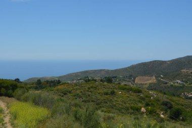 Uçsuz bucaksız yeşil tepeler ufka doğru uzanıyor, parlak mavi bir gökyüzünün altındaki okyanusun çarpıcı manzarasını çerçeveliyorlar. Manzara barışçıl bir yansıma ve keşfe davet ediyor..