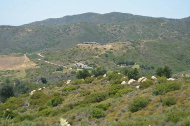 Uçsuz bucaksız tepeler, yeşil ve kayalık çıkıntılarla kaplı açık mavi bir gökyüzünün altında uzanıyor. Samimi evler yaprakların arasından bakar, kırsal kesimde yaşamanın sakinliğini ön plana çıkarır..
