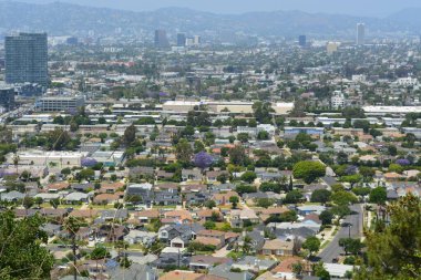 Hareketli bir şehir manzarası, açık mavi gökyüzünün altında bir ev ve yeşillik demeti sergiliyor. Mor jakaranda ağaçları mahalleleri işaretliyor ve kentsel alana renk katıyor..