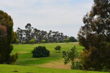 Bereketli yeşil çimenler, sakin bir gökyüzü barışçıl bir atmosfer eklerken, ağaçlarla kaplı araziye yayılır. Doğa, ziyaretçileri güzelliğinin ve huzurunun tadını çıkarmaya davet ediyor..