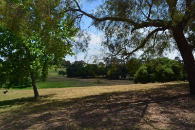 Uzun ağaçlar dallarını huzurlu bir parkın üzerine uzatarak hoş geldin gölgesi sunuyorlar. Bereketli yeşil bir alan ve uzak ağaçlar bu cennet sahnesini tamamlıyor, rahatlamak için mükemmel..