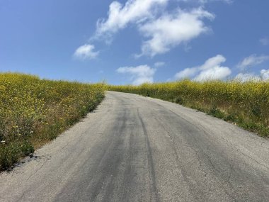 Yumuşak, dolambaçlı bir yol, çiçek açan sarı çiçeklerin arasından yavaşça yükselir, kabarık beyaz bulutlarla dolu açık mavi bir gökyüzüne uzanır. Doğanın güzelliği davetkar bir şekilde gözler önüne seriliyor..