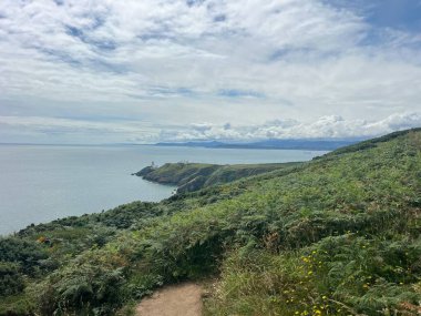 Huzurlu bir manzara sergileniyor, dingin bir okyanusa uzanan yemyeşil tepeler sergileniyor. Bir deniz feneri uzak sahilde gururla durur, yumuşak bulutlar ve nazik dalgalarla çerçevelenmiş..