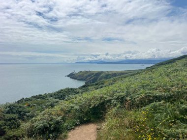 Huzurlu bir sahil yolu yemyeşil bir alanda uçsuz bucaksız bir okyanusa bakan bir deniz fenerine doğru esiyor. Yumuşak bulutlar yukarıda asılı, sakin bir atmosfer yaratıyor. Doğa aşıkları için mükemmel..