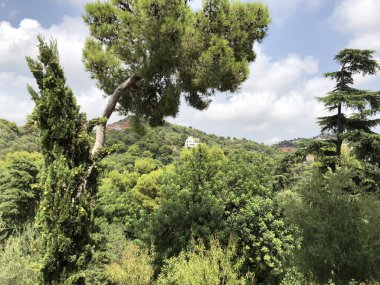 Meyve ağaçları ve yeşillik yamaçtaki beyaz bir evin etrafını sarar. Sahne parçalı bulutlu bir gökyüzünün altında sakin ve sakin bir atmosfer yaratıyor..