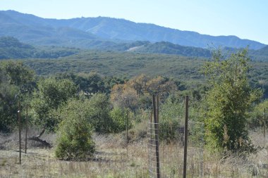 Ufuk boyunca uzanan yuvarlanan yeşil tepelerin nefes kesici manzarası berrak mavi bir gökyüzünün altında. Ağaçlar manzarayı noktalıyor, huzurlu ve huzurlu bir ortam yaratıyor..