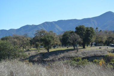 Dağlar ihtişamlı bir şekilde arka planda yükselirken, uzun yeşil ağaçlar sakin bir manzaraya dağılmış durumda..