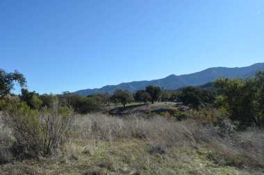 Huzurlu bir manzarada, yeşil tepeler ağaçlar ve uzun otlarla çevrili engin mavi gökyüzünün altında yükselir. Güneş ışığı sakin bir atmosfer yaratır, sessiz bir kaçış için mükemmel..