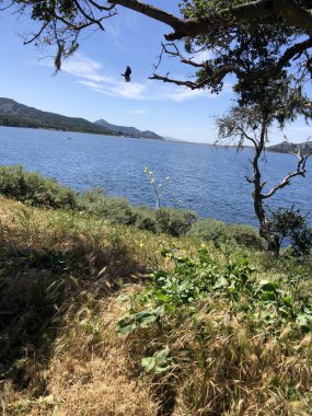 Huzurlu bir sahnede canlı yeşil bitkiler ve ağaçlarla çevrili parıldayan bir göl sergileniyor. Uzak dağlar berrak mavi gökyüzünün altında yükselir, sakin bir açık hava kaçışı yaratır..