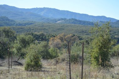 Ufuk boyunca uzanan yuvarlanan yeşil tepelerin nefes kesici manzarası berrak mavi bir gökyüzünün altında. Ağaçlar manzarayı noktalıyor, huzurlu ve huzurlu bir ortam yaratıyor..