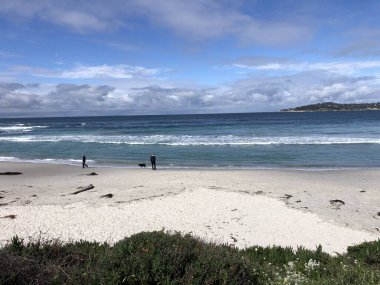 Açık bir günde hafif dalgalar kuma vururken, bir köpek eşliğinde kıyı şeridi boyunca dolaşan iki kişi. Manzara, okyanus kıyısındaki sükuneti yakalıyor..