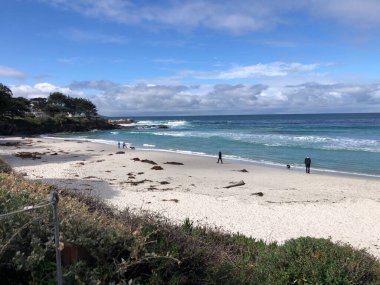 İnsanlar kumlu sahil boyunca sakin bir yürüyüşün keyfini çıkarırken, açık mavi gökyüzünün altında hafif dalgalar kıyıya vuruyor. Okyanus tarafından yakalanmış sakin bir an..