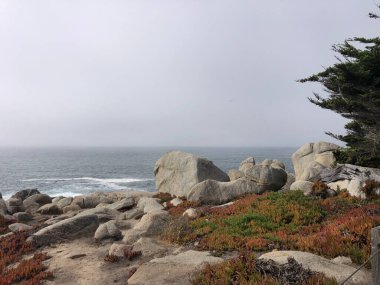 Kıyı şeridi boyunca uzanan sakin bir manzara, bereketli yeşilliklerle çevrili büyük kayaları da içeriyor. Okyanus, bulutlu gökyüzünün altında sessizce kıyıda turlar ve barışçıl bir atmosfer yaratır..