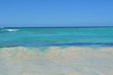 Gün ortasında kumlu bir sahilde sakin dalgaların dalgalandığı sakin bir sahne. Titreyen turkuaz okyanus, sıcak güneş ışığı altında parıldıyor. Rahatlamaya ve huzura davet ediyor..