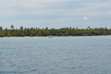 Okyanusun sakin manzarası kristal berrak suları ve süzülen küçük bir tekneyi gösteriyor. Bereketli palmiye ağaçları, parlak güneş ışığı altında tropikal atmosferi yükselterek kumlu kıyıları kaplar..
