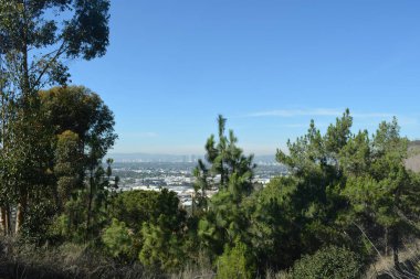 Bir yamaçtan, yoğun yeşil ağaçlarla dolu güzel bir manzara uzak bir şehrin ufuk çizgisini aydınlık, bulutsuz bir gökyüzü altında bir arada yaşayan doğa ve şehir yaşamını gözler önüne seriyor..