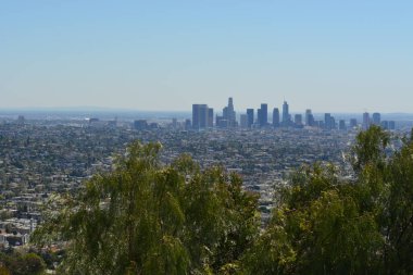 Canlı yeşil ağaçlar tarafından çerçevelenmiş genişleyen şehir siluetinin çarpıcı bir görüntüsü. Parlak mavi bir gökyüzünün altında, şehir manzarası aşağıdaki hareketli metropolü gözler önüne seriyor..