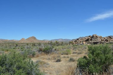 Parlak güneş yeşil çalılar ve eşsiz kaya oluşumlarıyla dolu geniş bir çöl sahnesinin üzerinde parlıyor. Uzak dağlar dingin manzaraya derinlik katar..