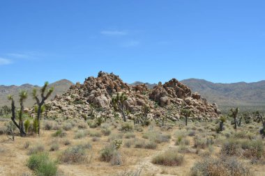 Issız çöl bitkileri ve güneşli bir günde uzak dağlarla çevrili kuru topraktan çarpıcı bir kaya koleksiyonu yükselir..