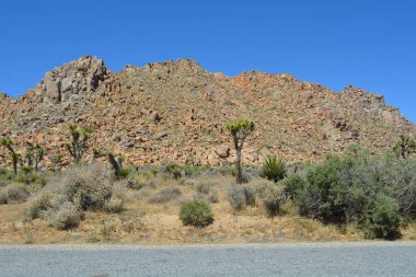 Uçsuz bucaksız bir çöl manzarasında kalın kayalık dağlar ve palmiye ağaçları gibi çeşitli bitkiler bulunur. Güneş ışıl ışıl parlıyor, kumlu toprağa gölge düşürüyor..