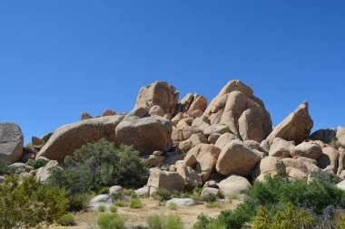 Dev kayalar, çöl bitkileriyle çevrili canlı mavi gökyüzüne karşı dramatik bir manzara yaratıyor. Bu doğal oluşum eşsiz şekiller ve dokular sergiliyor, davetkar keşifler..