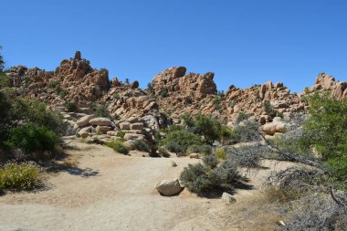 Kaya ve eşsiz kaya oluşumları, çöl çalıları ve öğlen güneşinin sakin çöllerinde dolanan kumlu bir patikayla çevrili sahnenin hakimi..